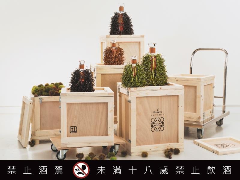 軒尼詩首度攜手LOEWE 跨界共譜奢華新章