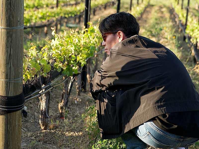 Neb Lukic,Paso Robles,california wine,加州葡萄酒,DAOU,達歐莊園,美國葡萄酒,,,