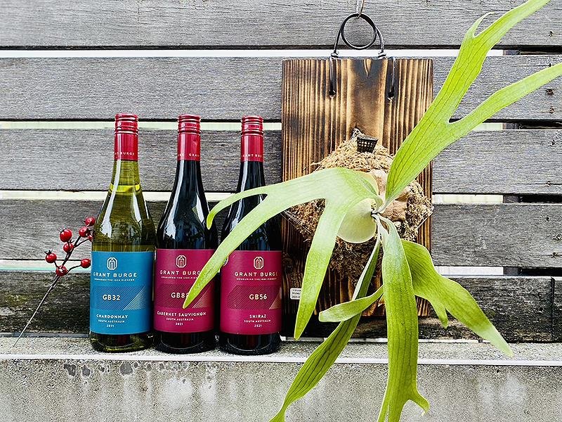 Grant Burge,格萊堡,澳洲葡萄酒,austria wine,wine,鹿角蕨