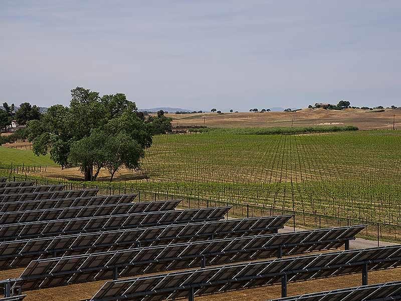 永續葡萄酒,WINE,CALIFORNIA WINE,加州葡萄酒,美國葡萄酒,ESG,永續,Sustainability,,