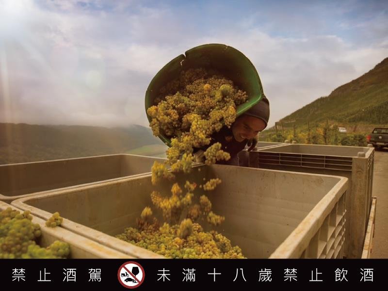 無酒精也能品味德國 彼得美德百年酒廠帶來經典與創新並存的麗絲玲盛宴