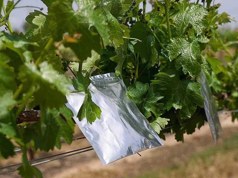 永續葡萄酒,WINE,CALIFORNIA WINE,加州葡萄酒,美國葡萄酒,ESG,永續,Sustainability,,