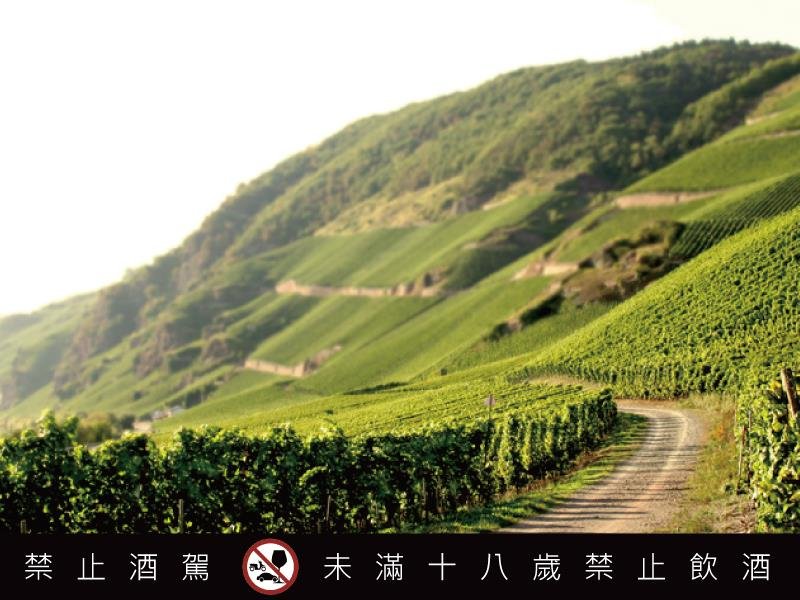 無酒精也能品味德國 彼得美德百年酒廠帶來經典與創新並存的麗絲玲盛宴